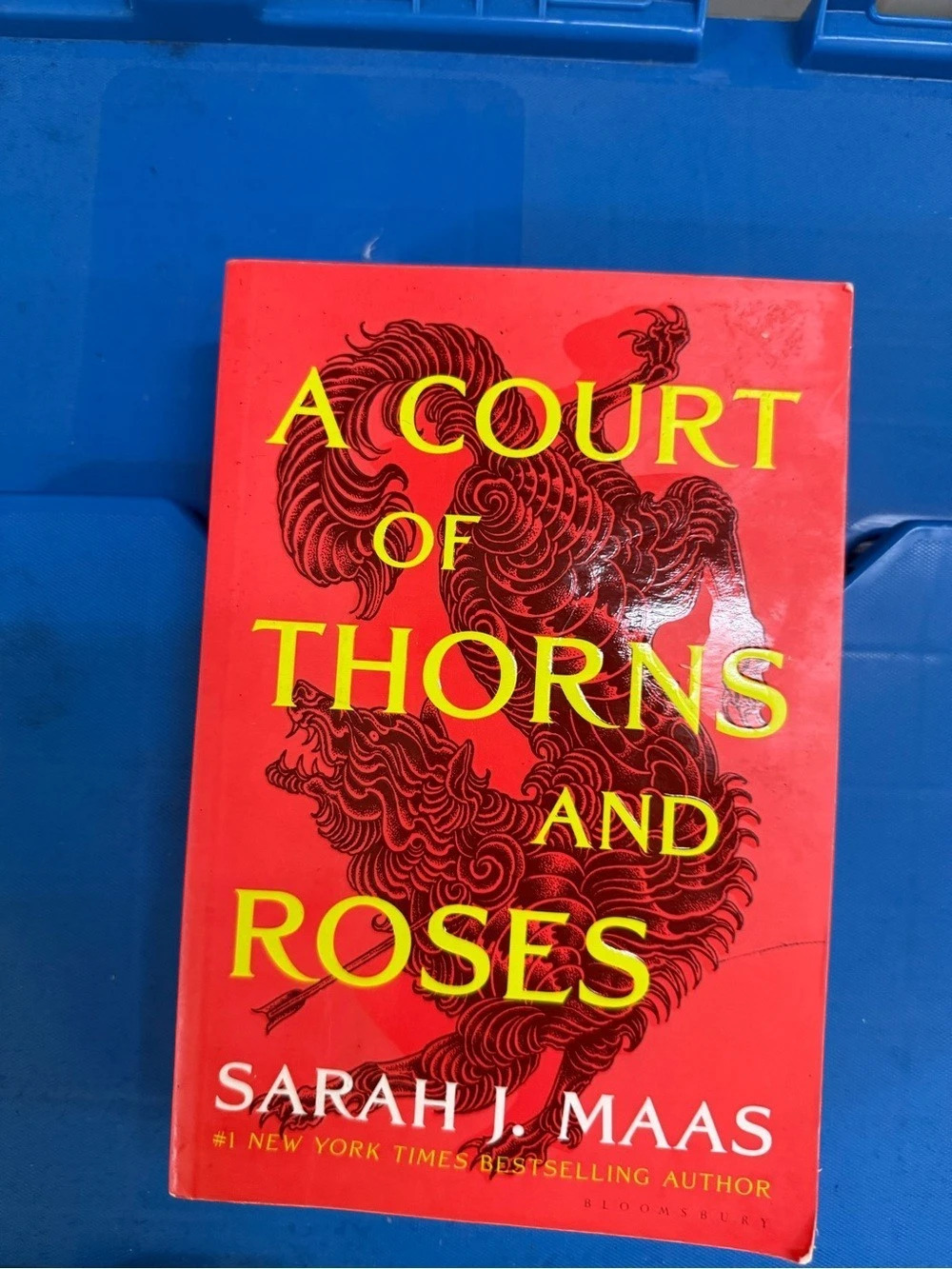 Bloomsbury Publishing A Court of Thorns and Roses Red & Yellow Print